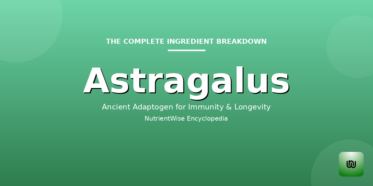 The Complete Ingredient Breakdown: Astragalus