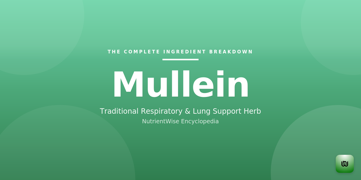 The Complete Ingredient Breakdown: Mullein