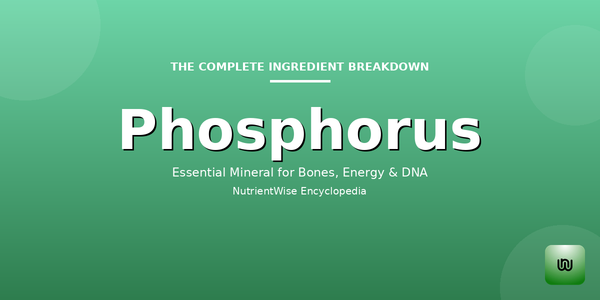 The Complete Ingredient Breakdown: Phosphorus
