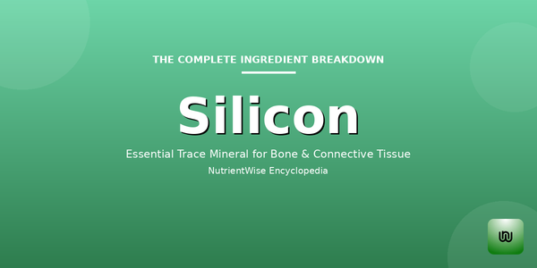 The Complete Ingredient Breakdown: Silicon