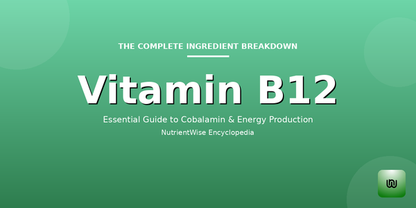 The Complete Ingredient Breakdown: Vitamin B12