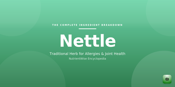 The Complete Ingredient Breakdown: Nettle