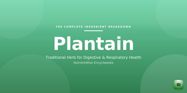 The Complete Ingredient Breakdown: Plantain
